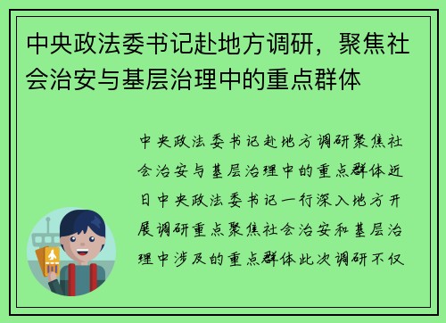 中央政法委书记赴地方调研，聚焦社会治安与基层治理中的重点群体